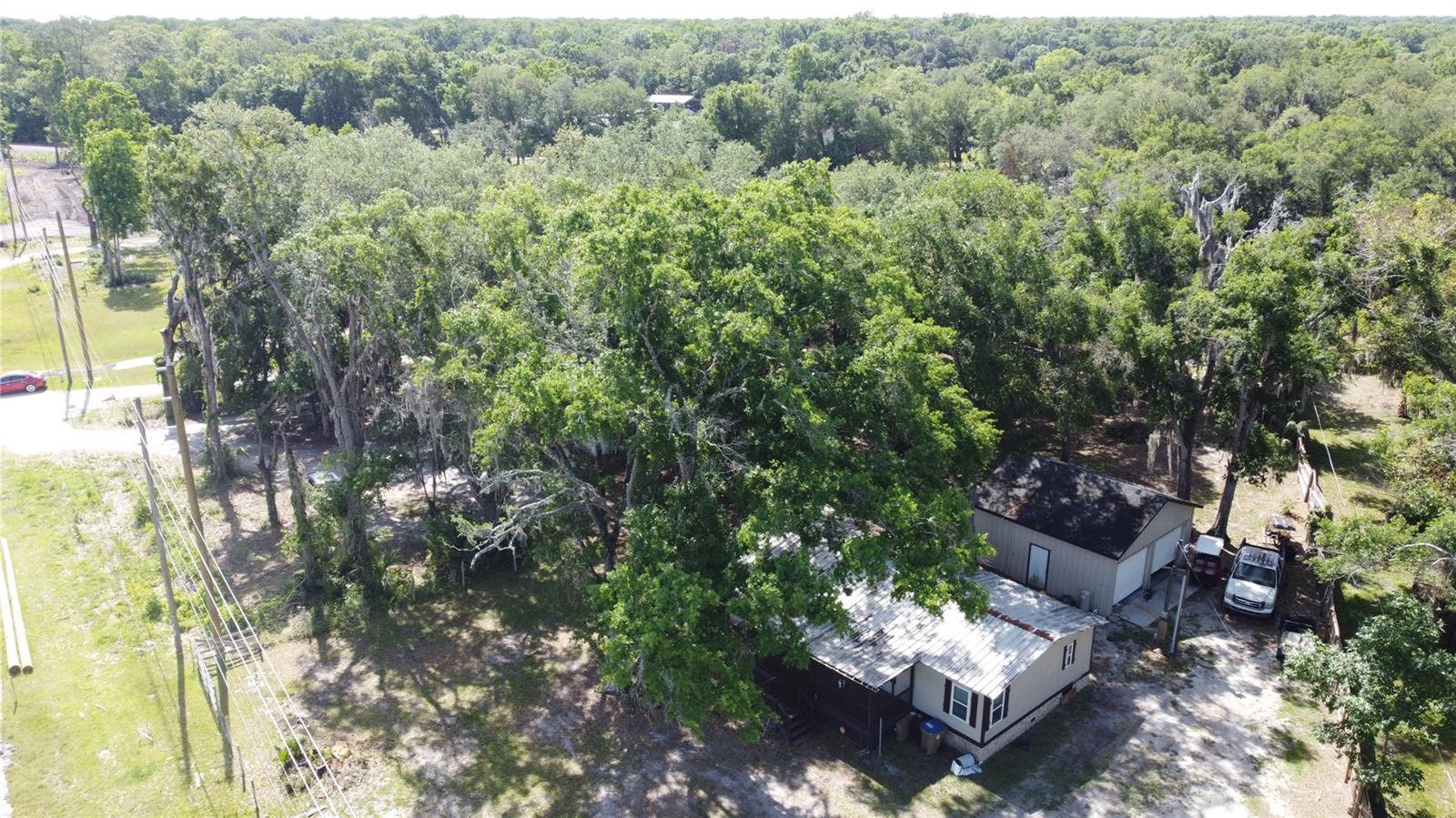 6590 OSCEOLA POLK LINE RD, DAVENPORT, FL, 33896