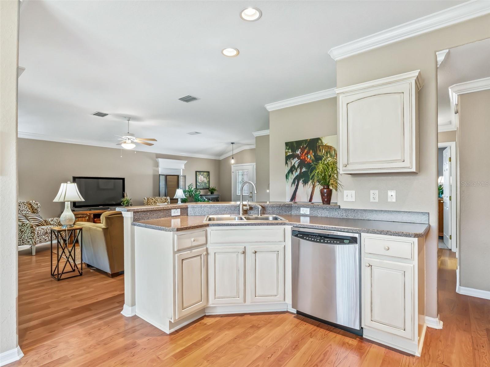 8814 SE 136TH PL, SUMMERFIELD, FL, 34491