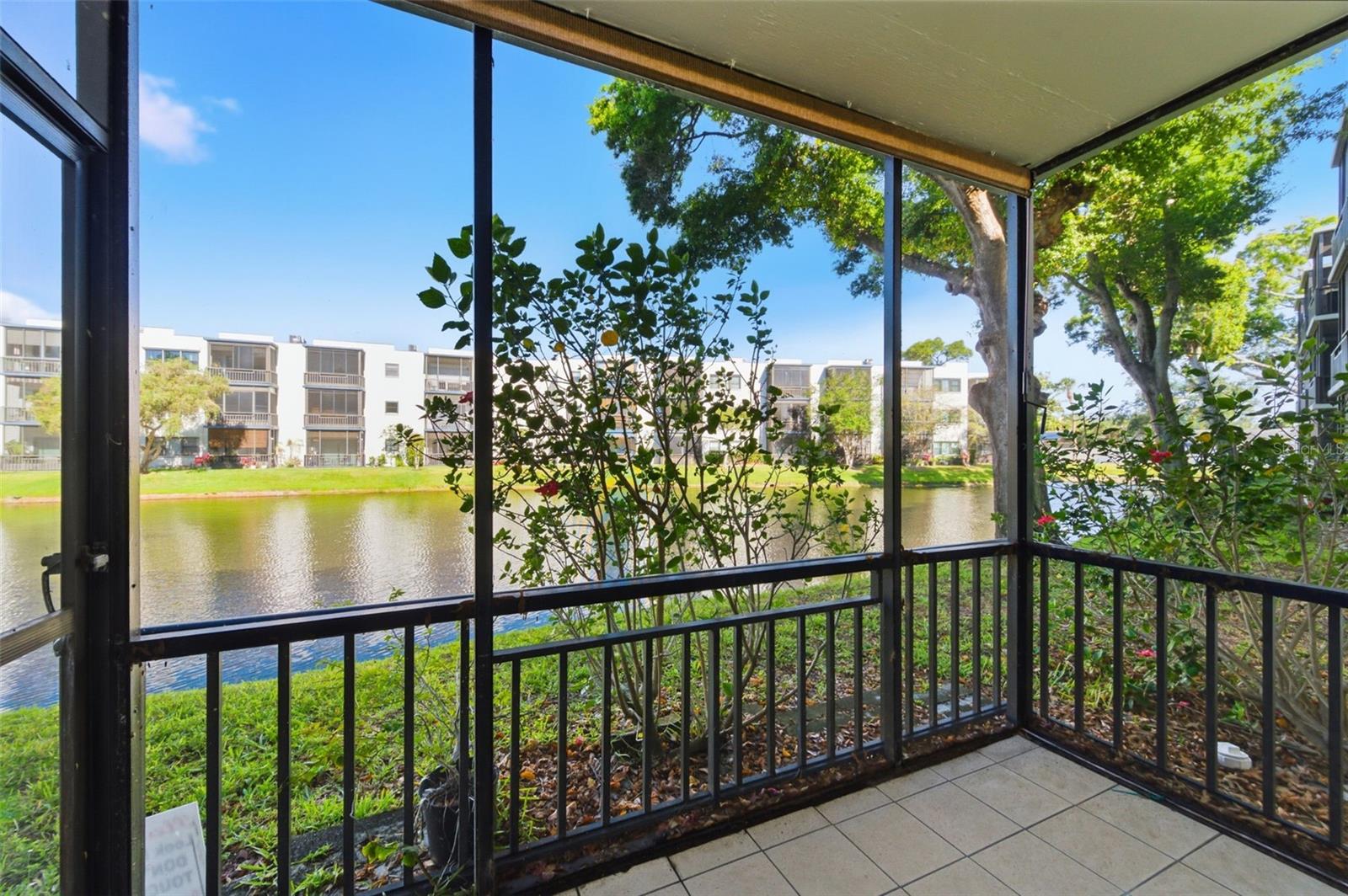 5980 TERRACE PARK DR N #108, ST PETERSBURG, FL, 33709