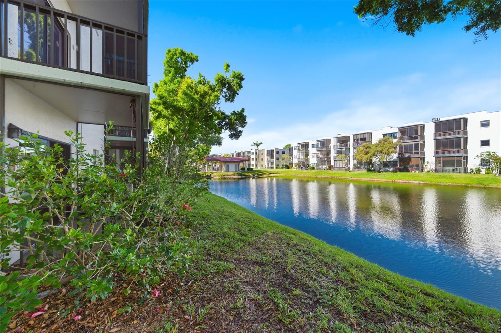 5980 TERRACE PARK DR N #108, ST PETERSBURG, FL, 33709