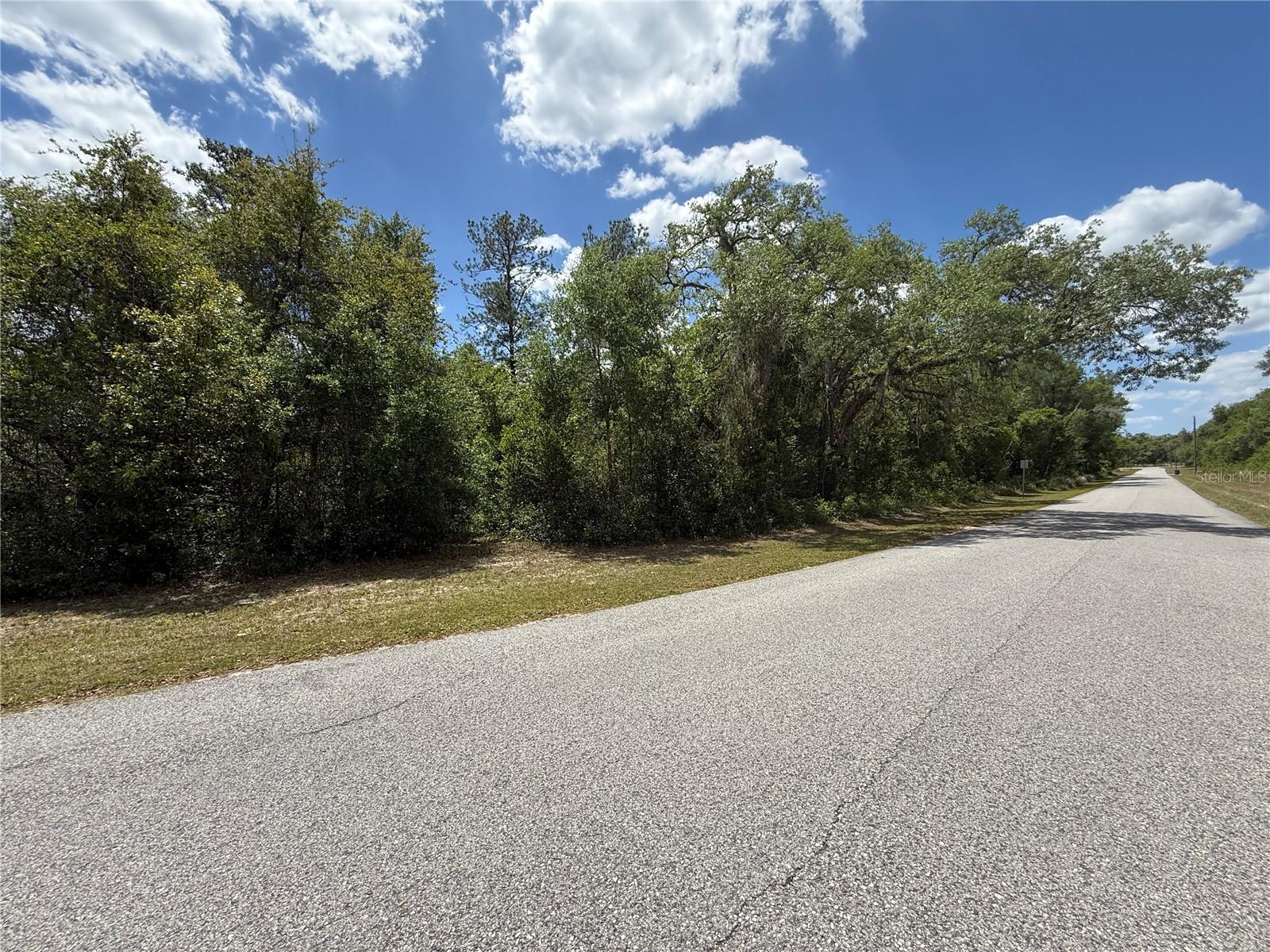 LEWIS LN, WEBSTER, FL, 33597