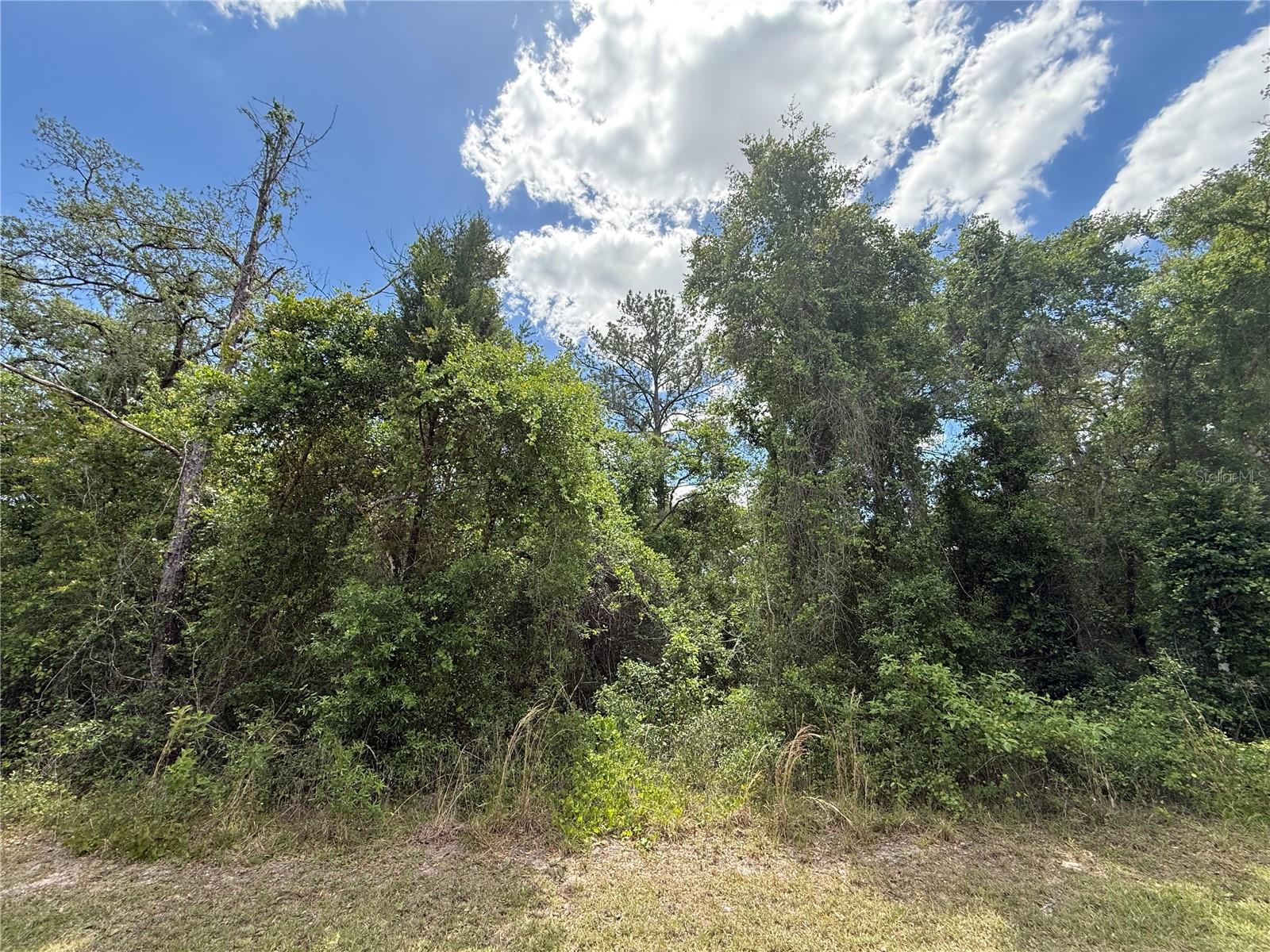LEWIS LN, WEBSTER, FL, 33597