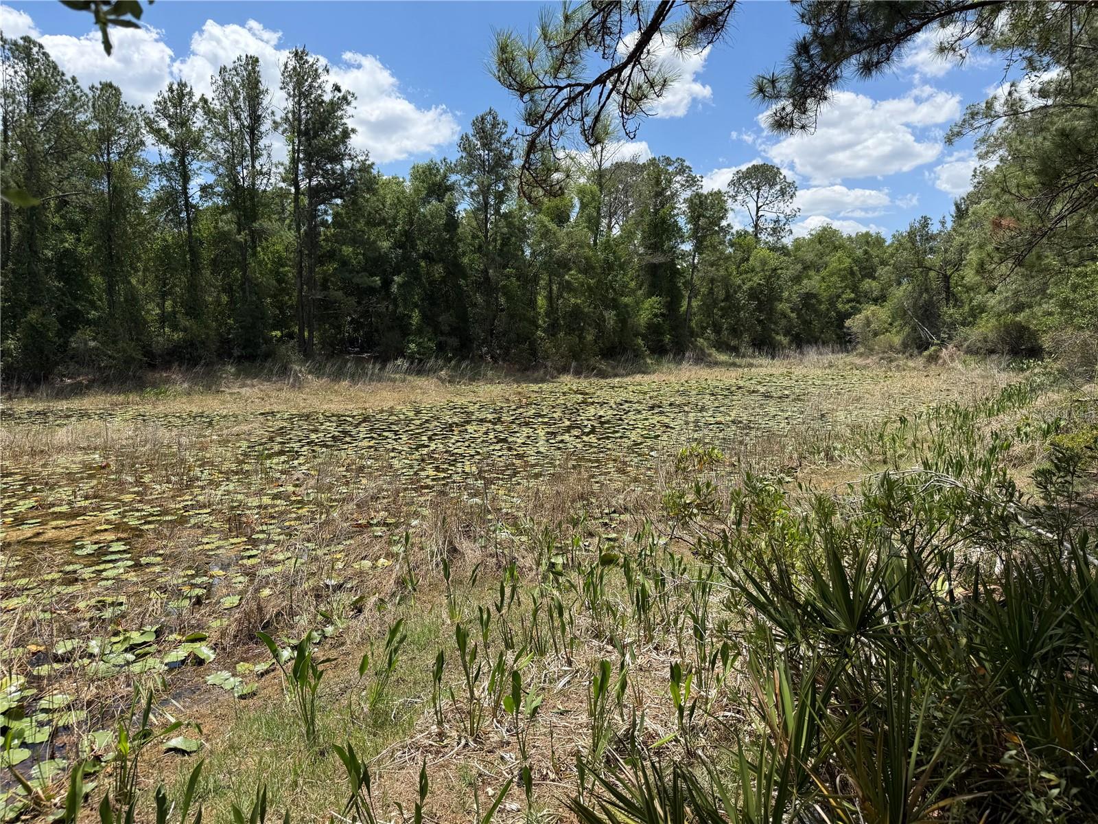 LEWIS LN, WEBSTER, FL, 33597