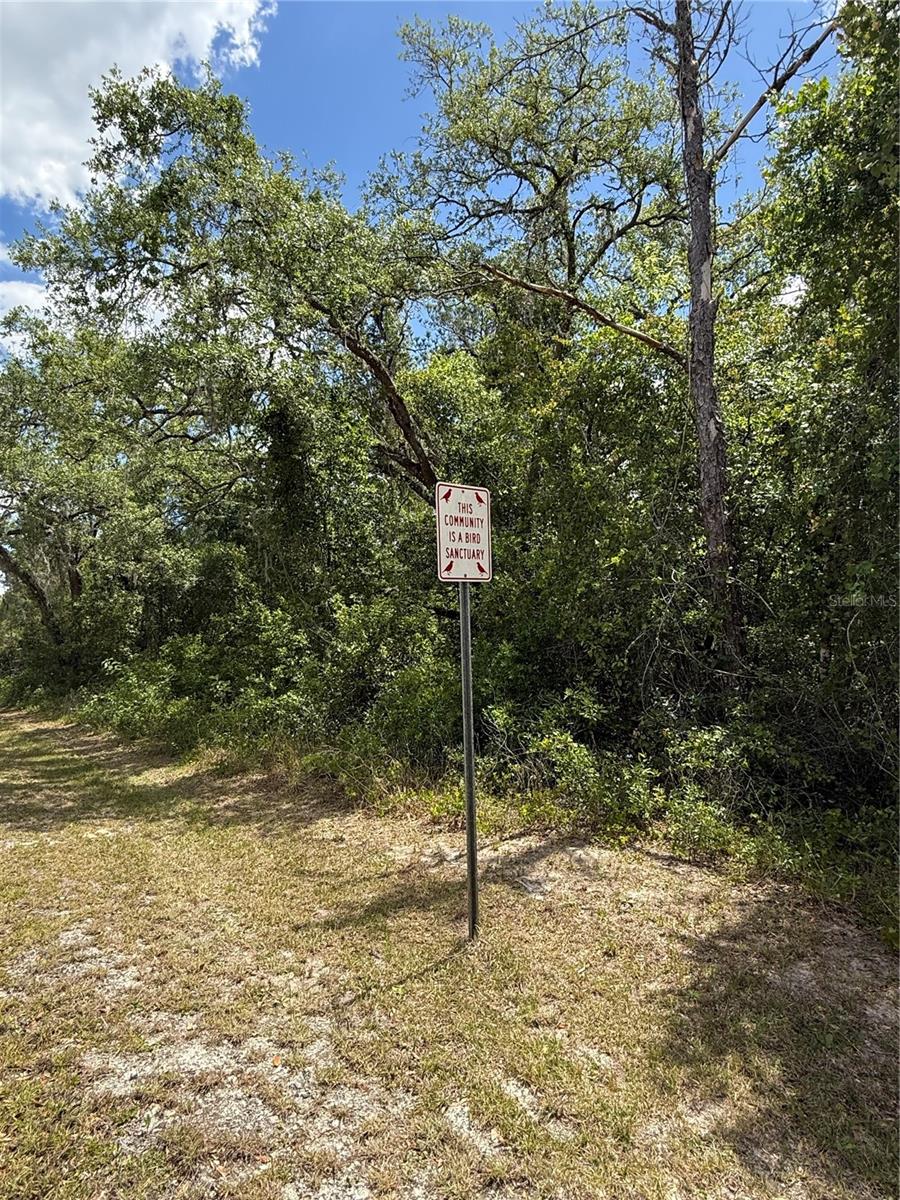 LEWIS LN, WEBSTER, FL, 33597