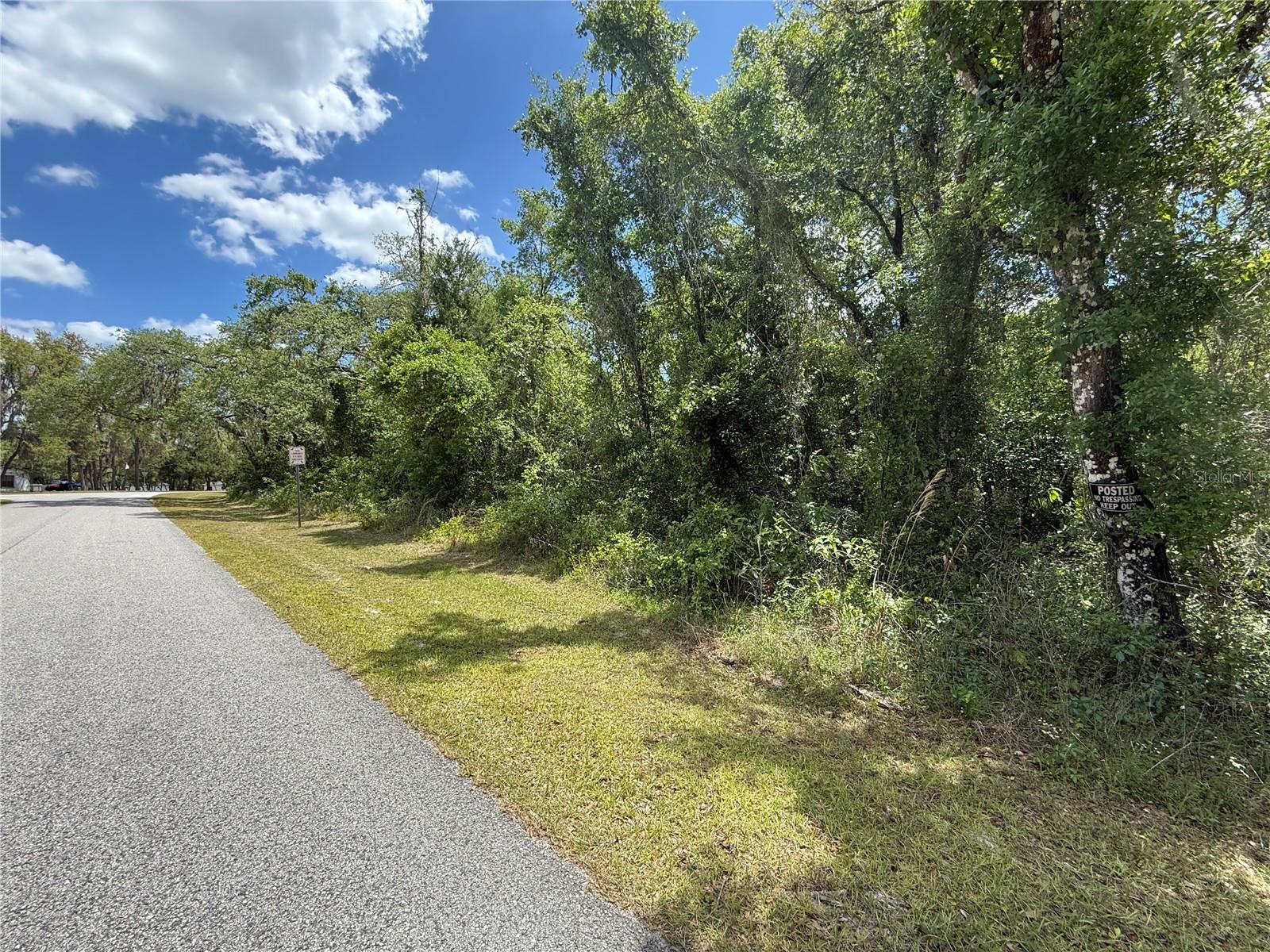 LEWIS LN, WEBSTER, FL, 33597