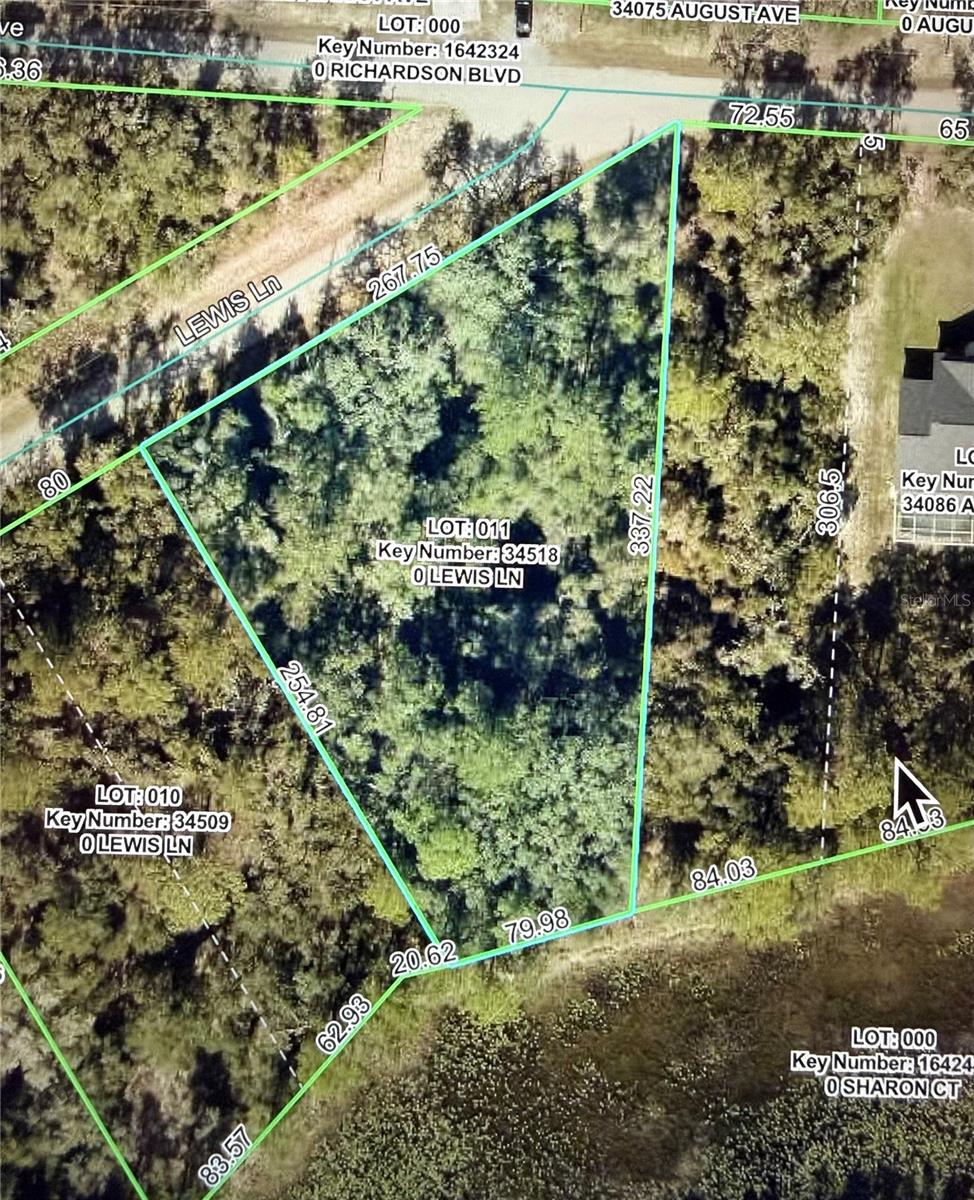 LEWIS LN, WEBSTER, FL, 33597