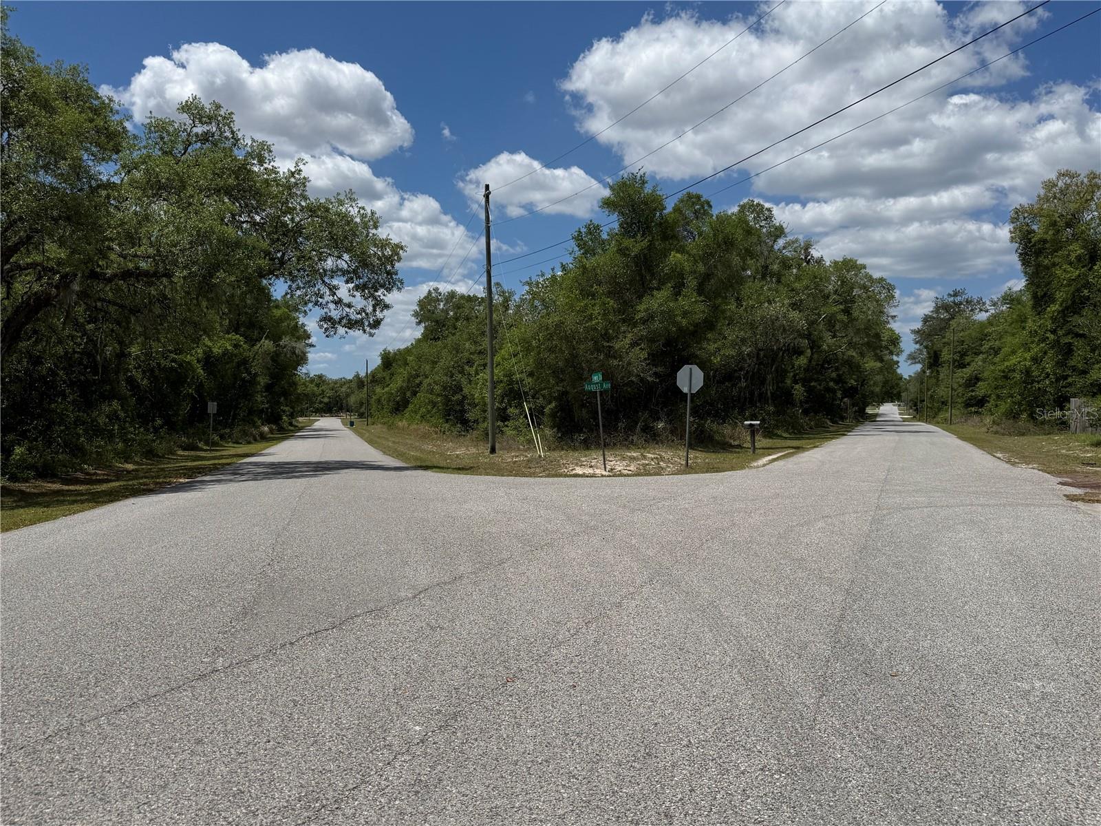 LEWIS LN, WEBSTER, FL, 33597