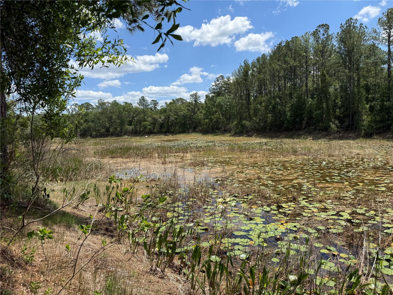 LEWIS LN, WEBSTER, FL, 33597