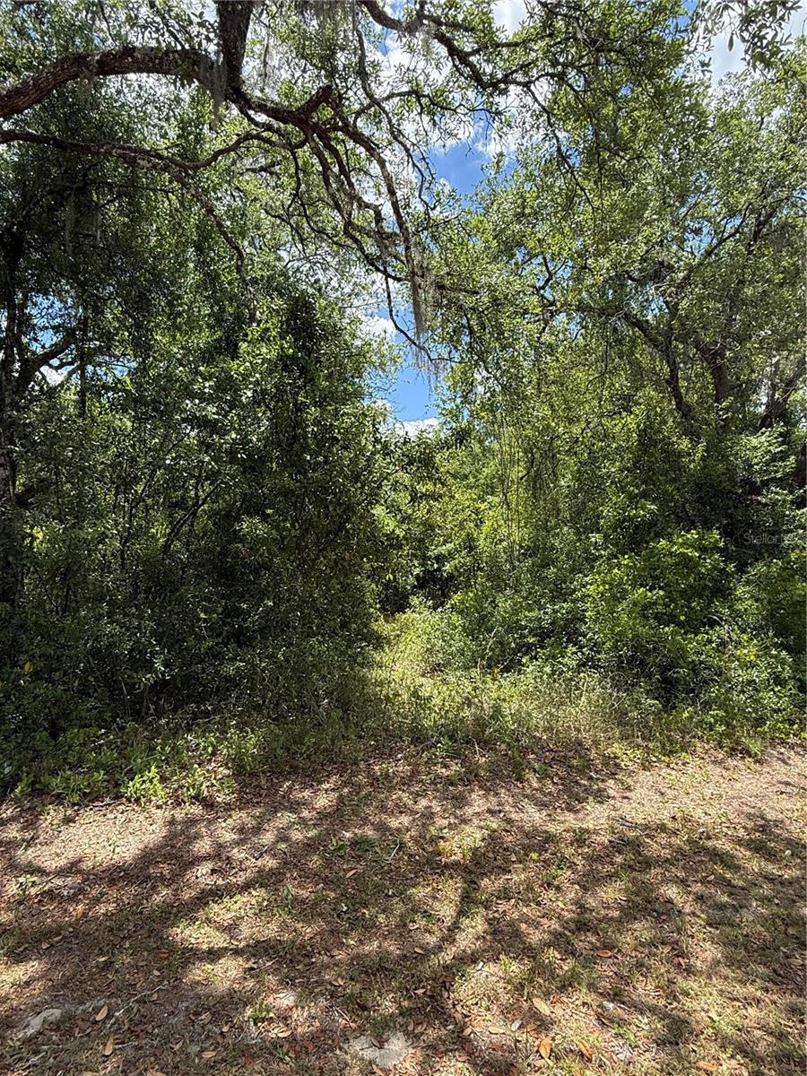 LEWIS LN, WEBSTER, FL, 33597