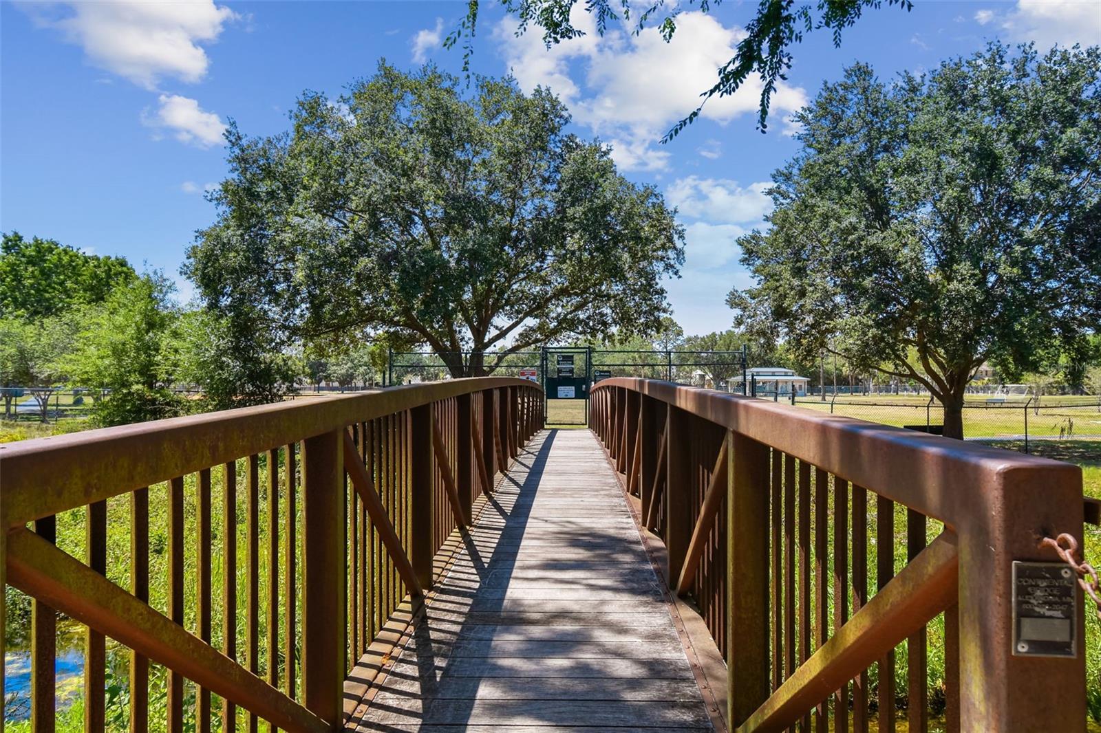 10916 CARROLLWOOD DR, TAMPA, FL, 33618