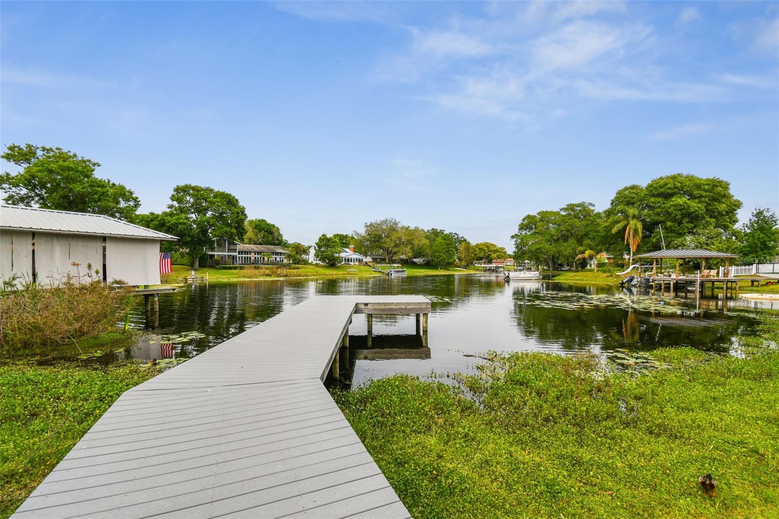 10916 CARROLLWOOD DR, TAMPA, FL, 33618