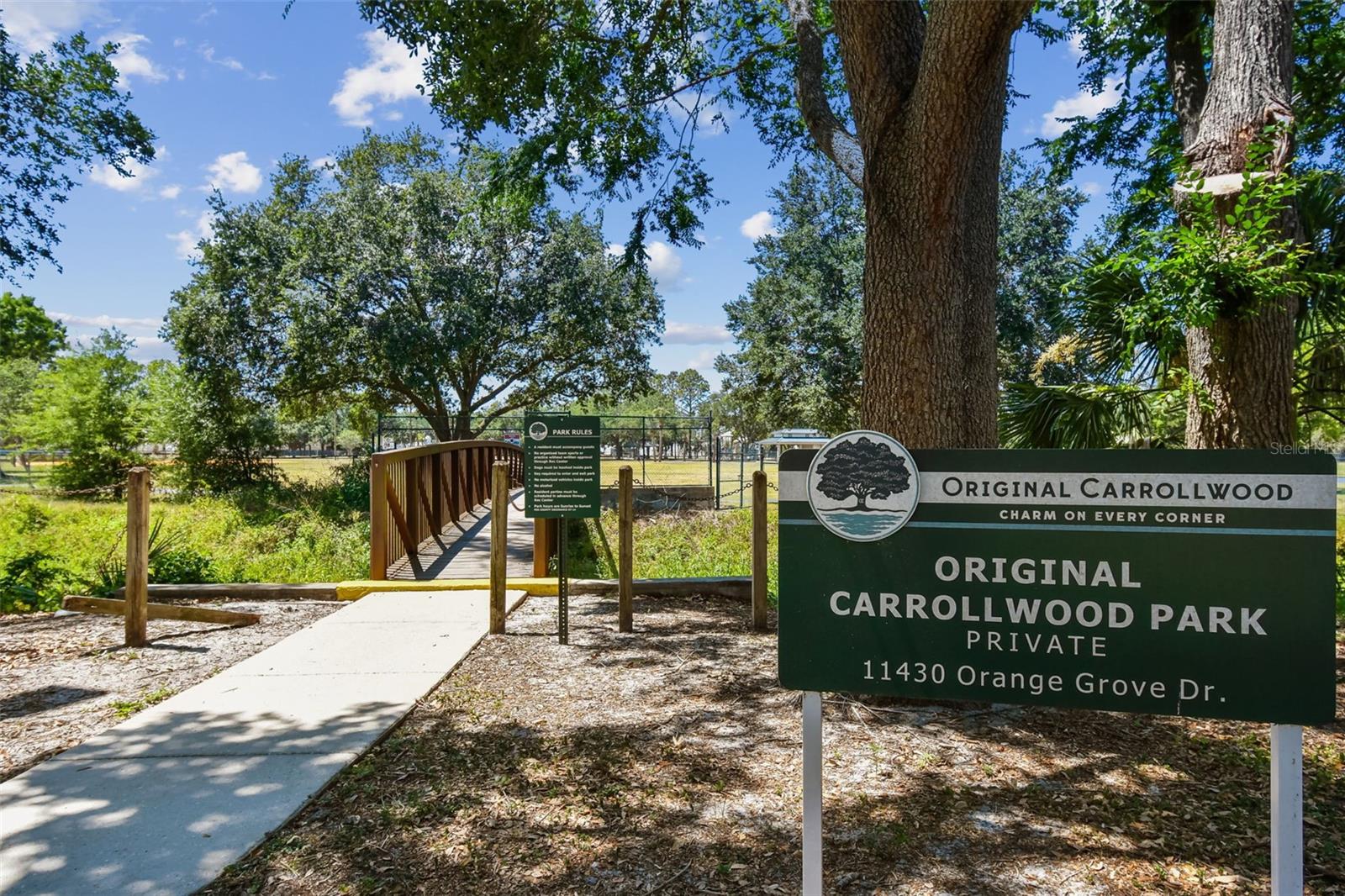 10916 CARROLLWOOD DR, TAMPA, FL, 33618