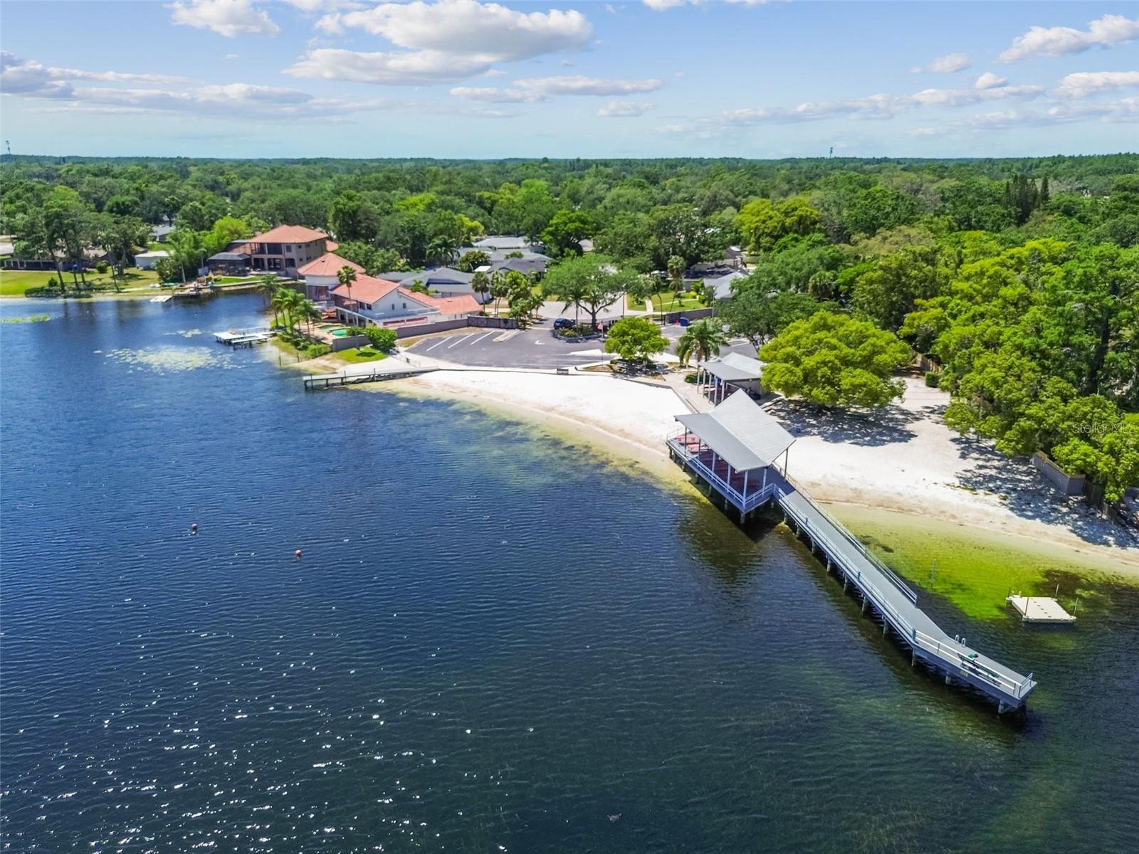 10916 CARROLLWOOD DR, TAMPA, FL, 33618