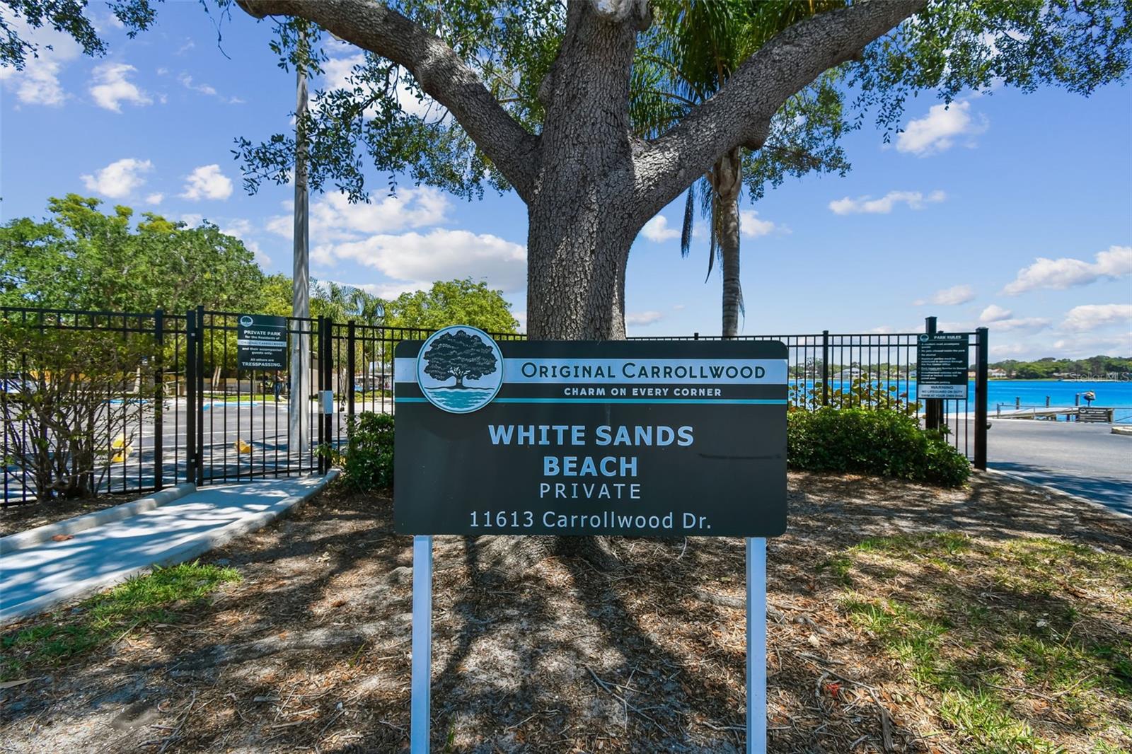 10916 CARROLLWOOD DR, TAMPA, FL, 33618