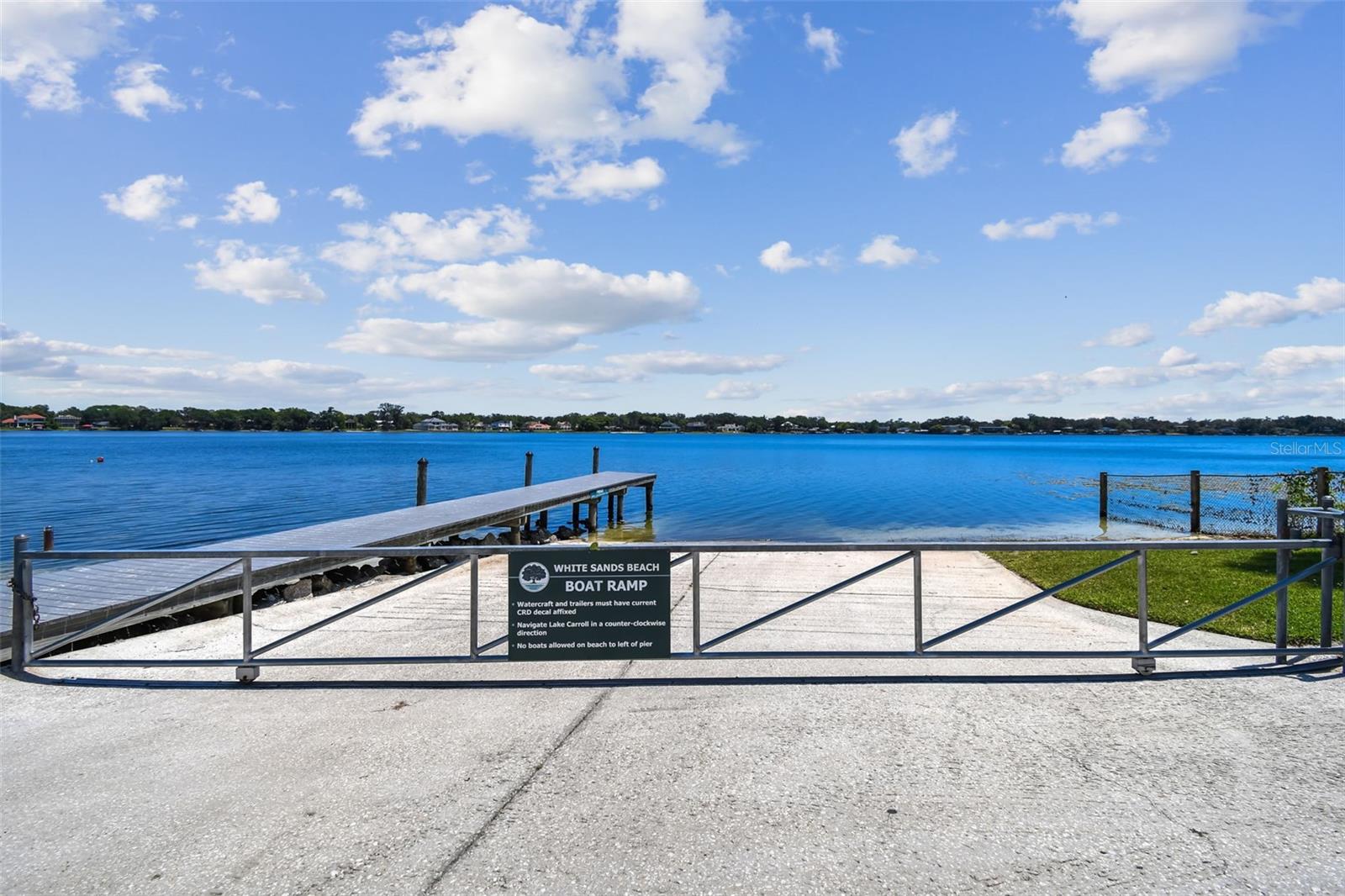10916 CARROLLWOOD DR, TAMPA, FL, 33618