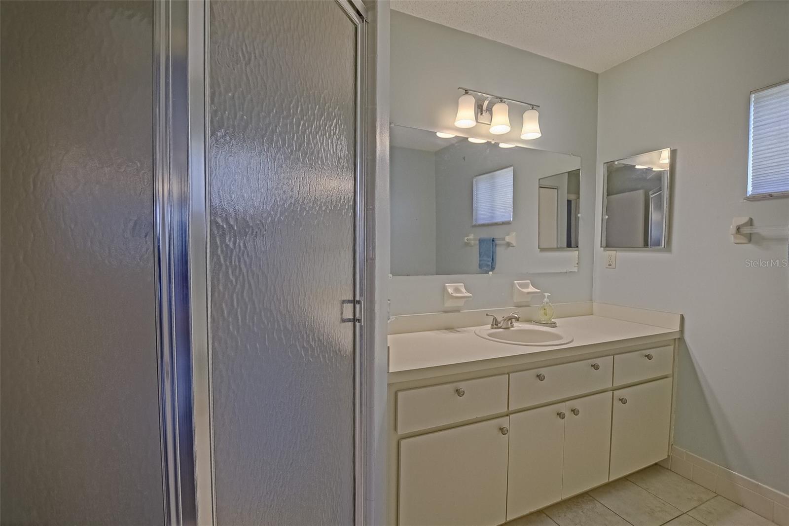 10462 SE 177TH PL, SUMMERFIELD, FL, 34491