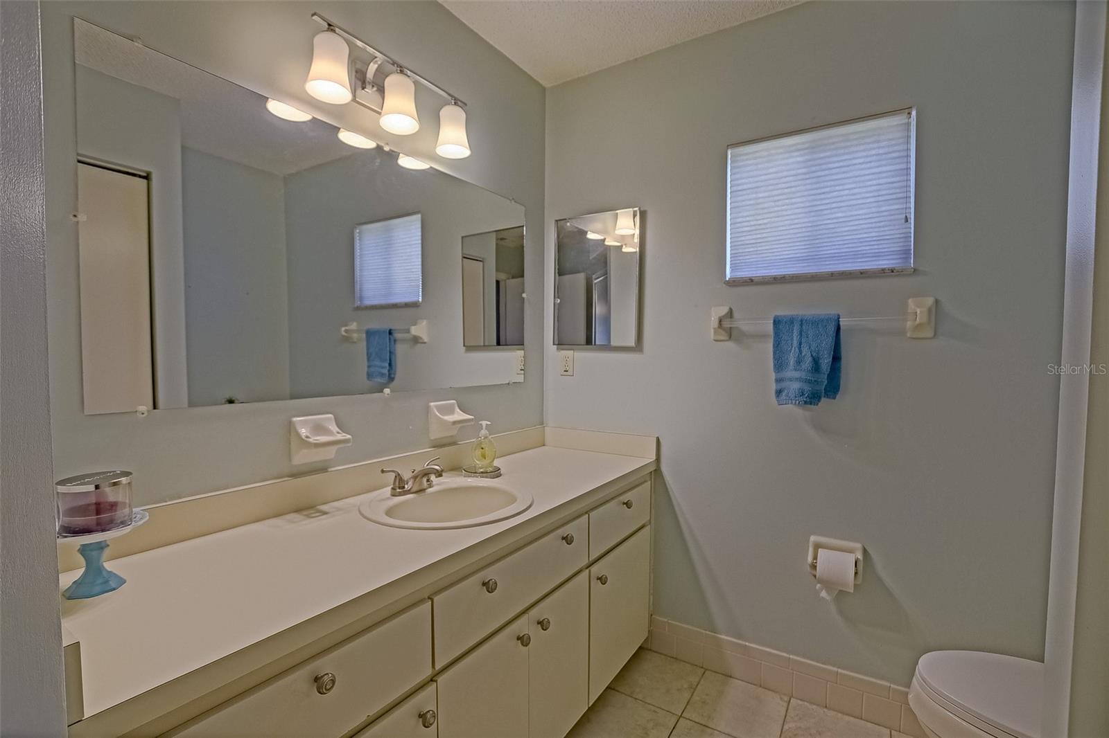 10462 SE 177TH PL, SUMMERFIELD, FL, 34491