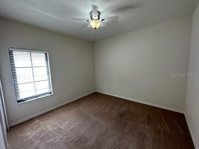 906 PAWSTAND RD, CELEBRATION, FL, 34747