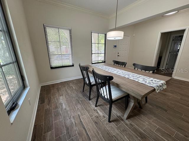 906 PAWSTAND RD, CELEBRATION, FL, 34747
