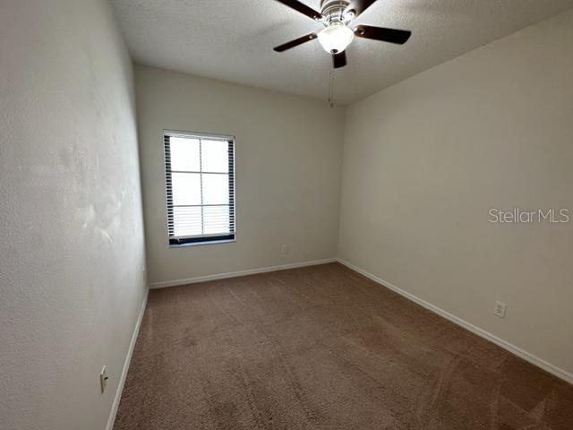 906 PAWSTAND RD, CELEBRATION, FL, 34747