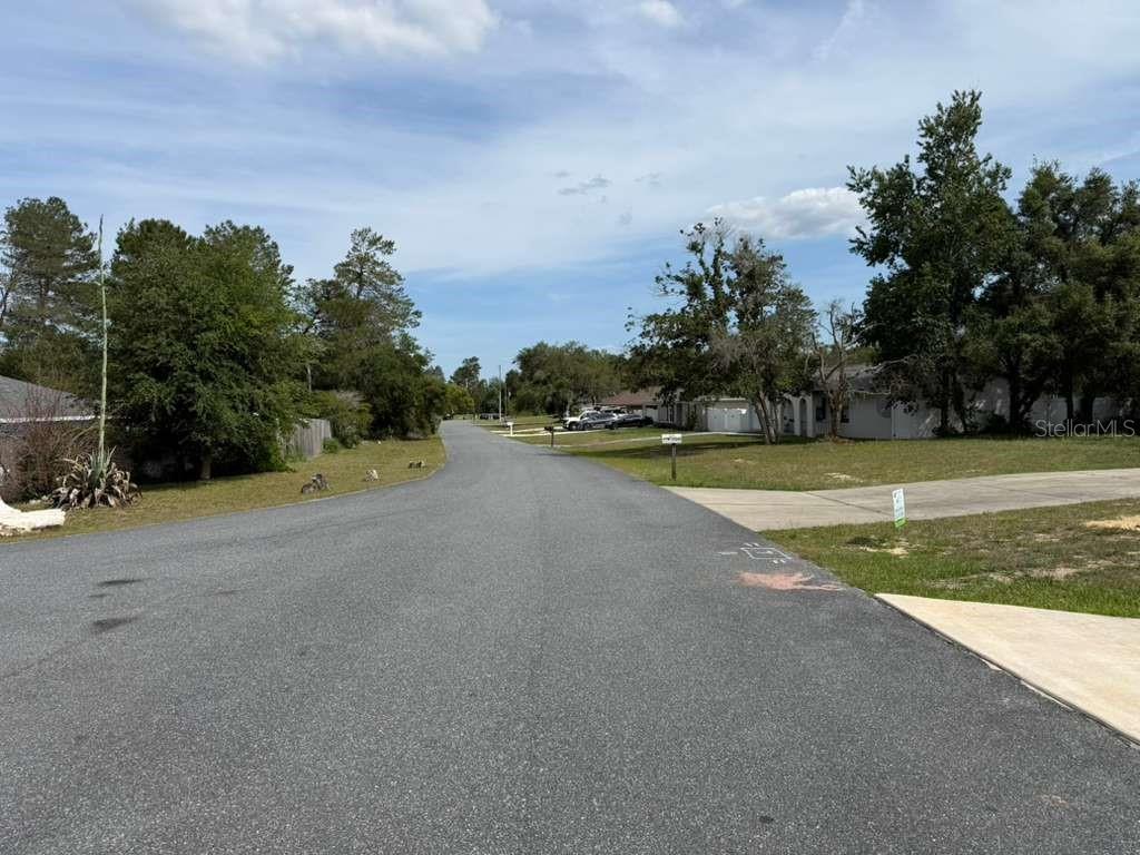 2455 SW 159TH LN, OCALA, FL, 34473
