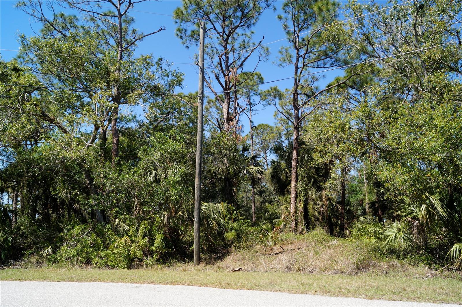 8370 CHORLEY AVE, NORTH PORT, FL, 34291