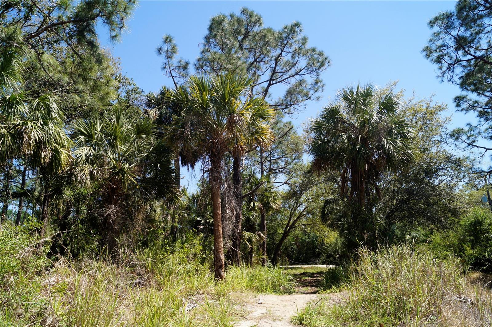 8370 CHORLEY AVE, NORTH PORT, FL, 34291