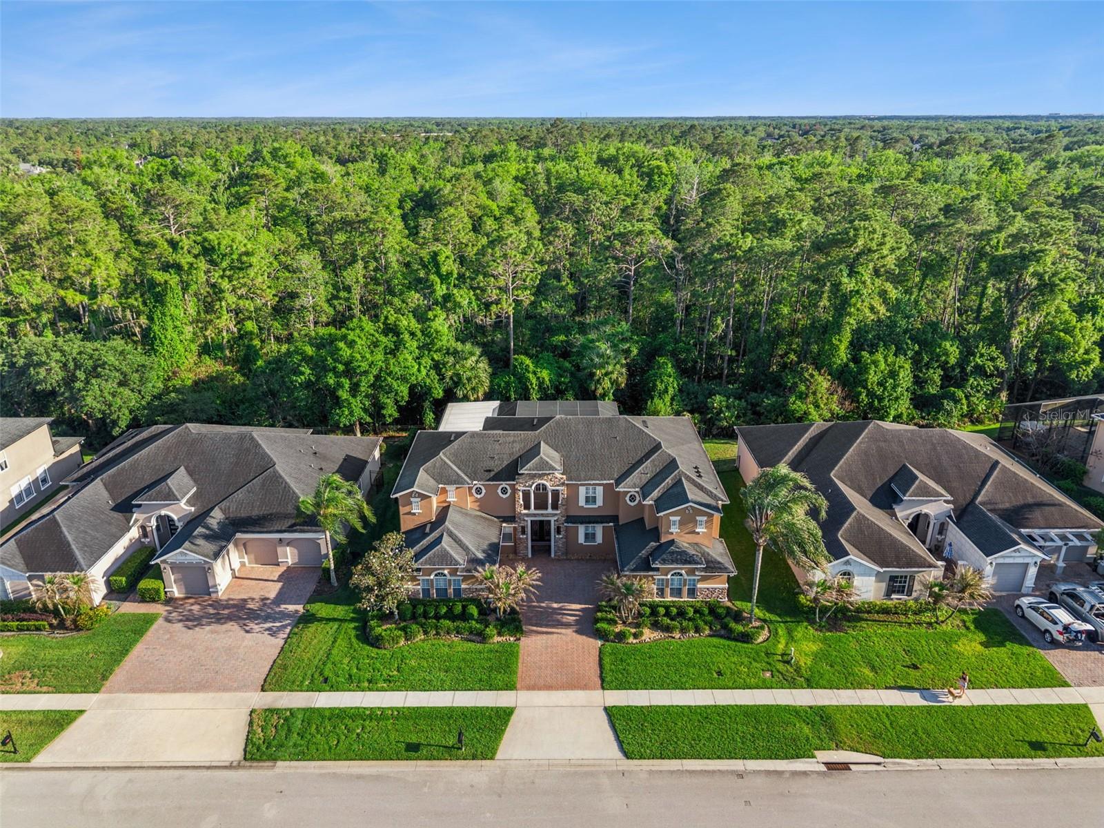 3197 HEIRLOOM ROSE PL, OVIEDO, FL, 32766