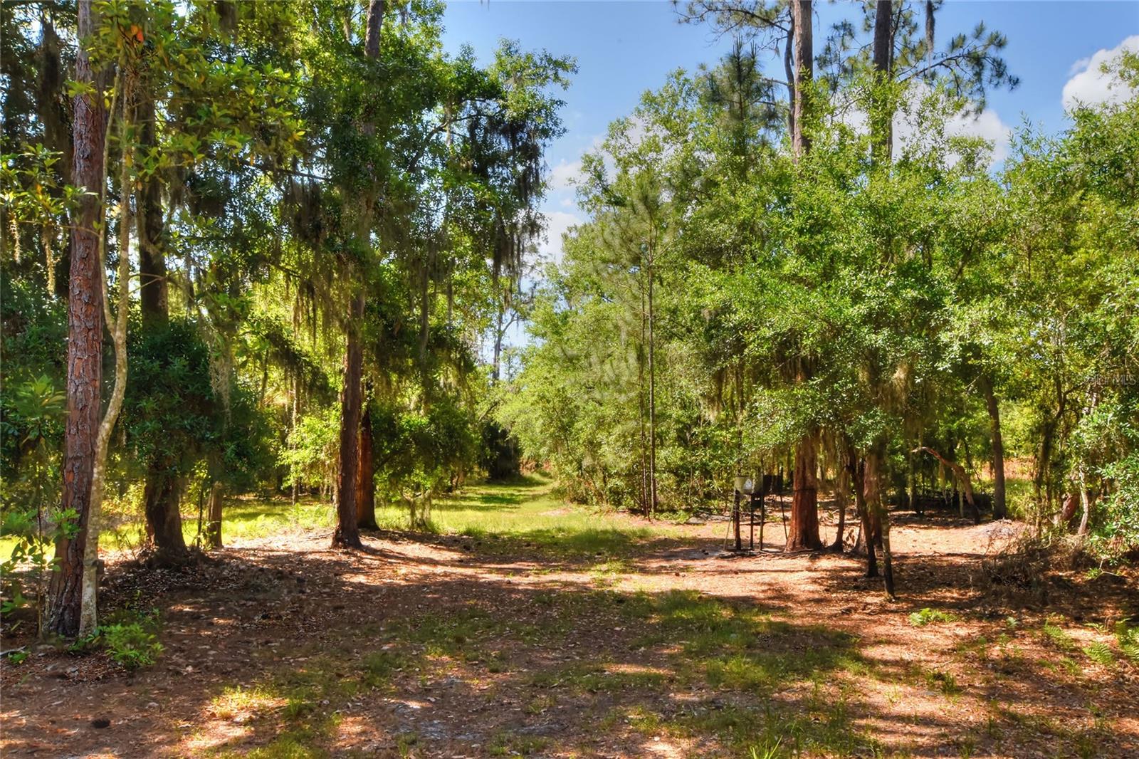 0 LAKE BUFFUM RD W, FORT MEADE, FL, 33841