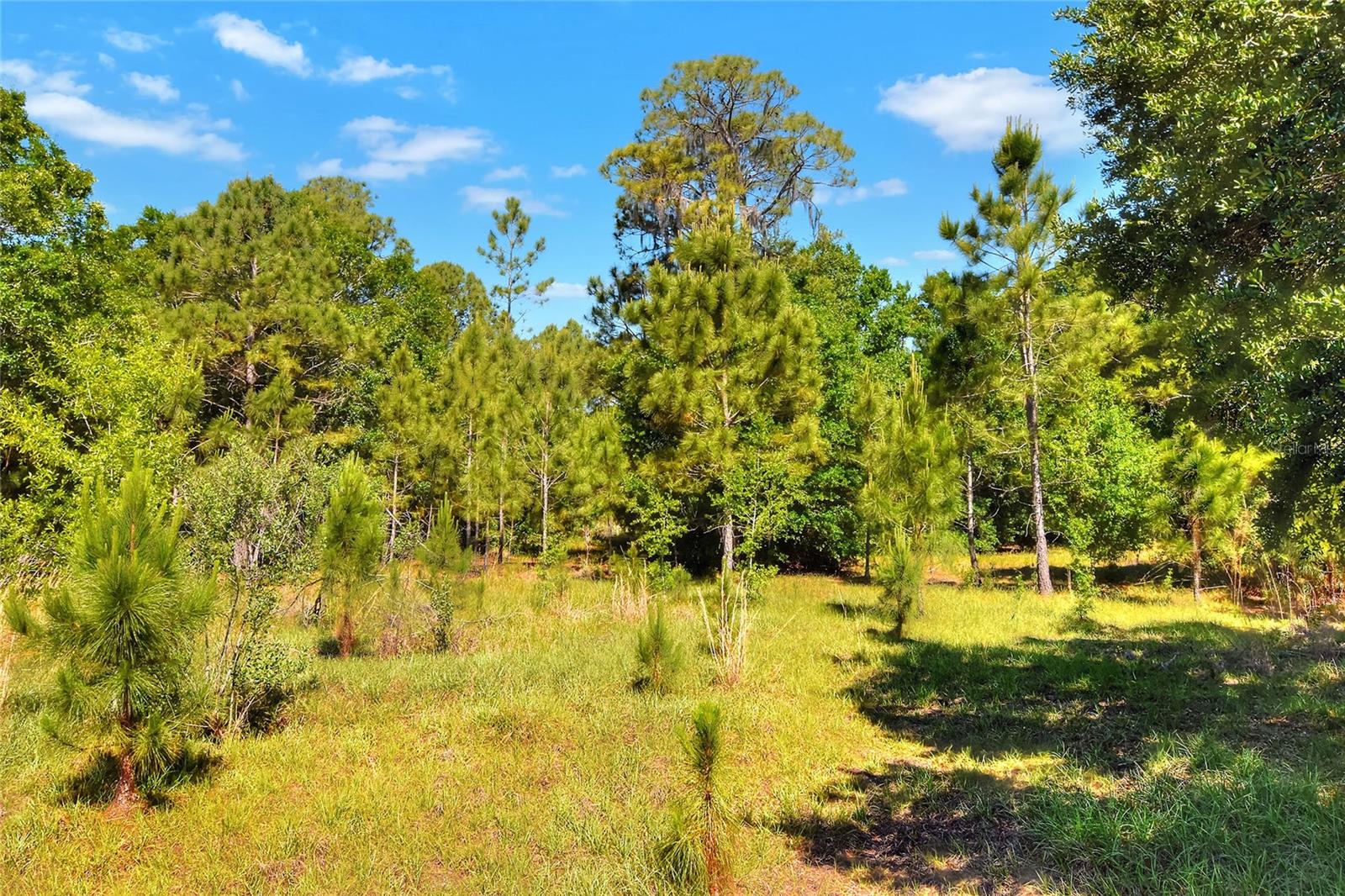 0 LAKE BUFFUM RD W, FORT MEADE, FL, 33841