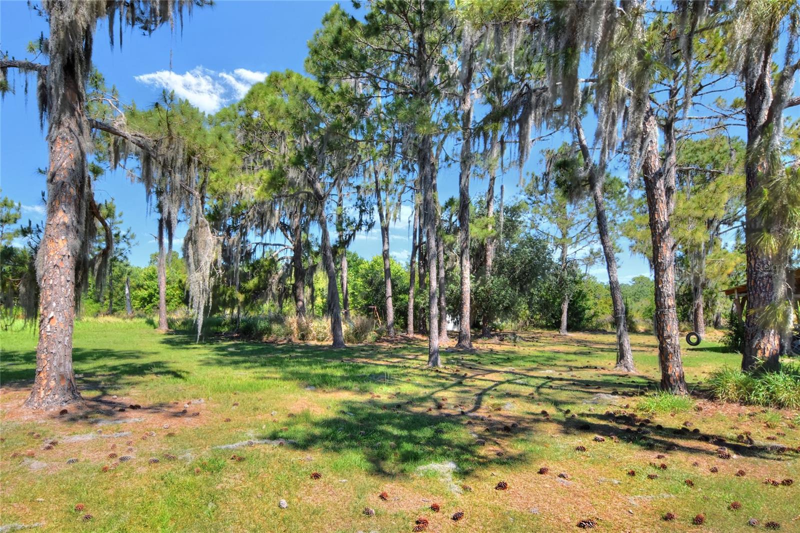 0 LAKE BUFFUM RD W, FORT MEADE, FL, 33841