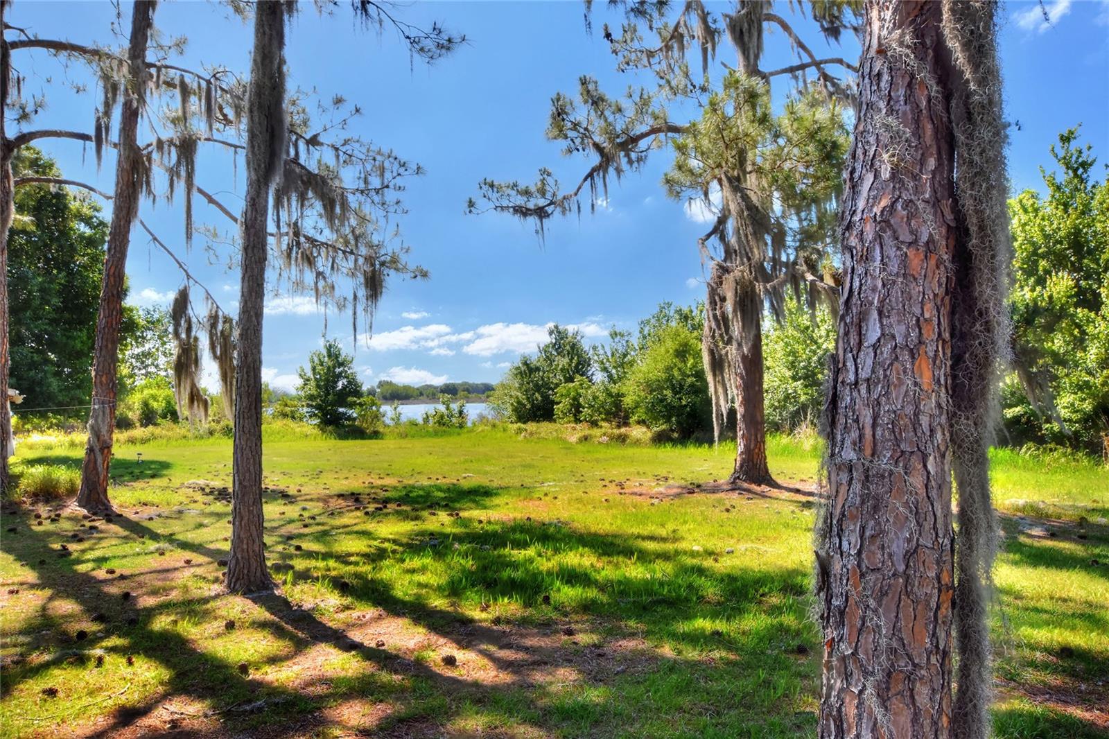 0 LAKE BUFFUM RD W, FORT MEADE, FL, 33841