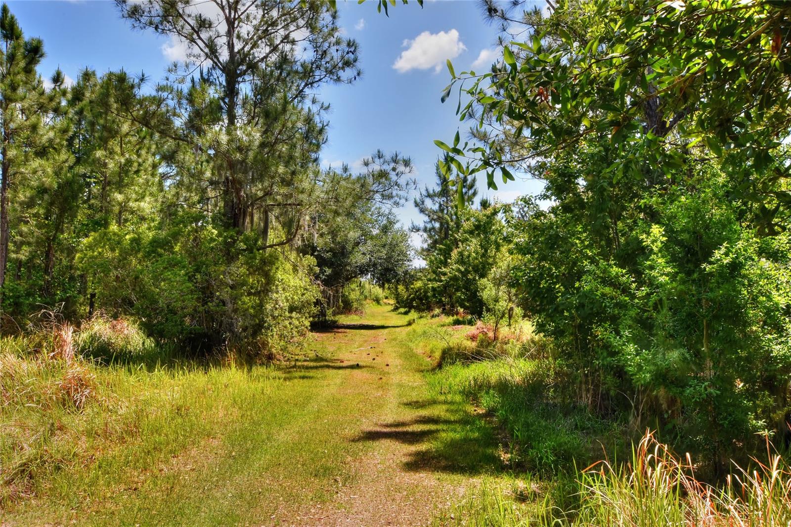 0 LAKE BUFFUM RD W, FORT MEADE, FL, 33841