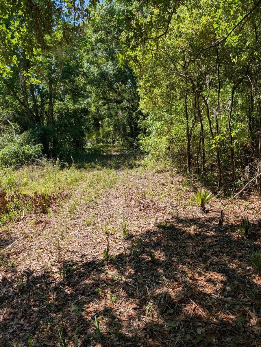 0 NW 202ND PL, MC INTOSH, FL, 32664