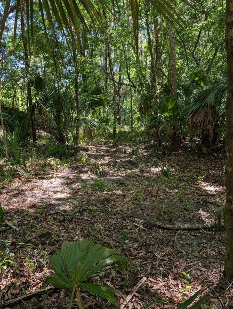0 NW 202ND PL, MC INTOSH, FL, 32664