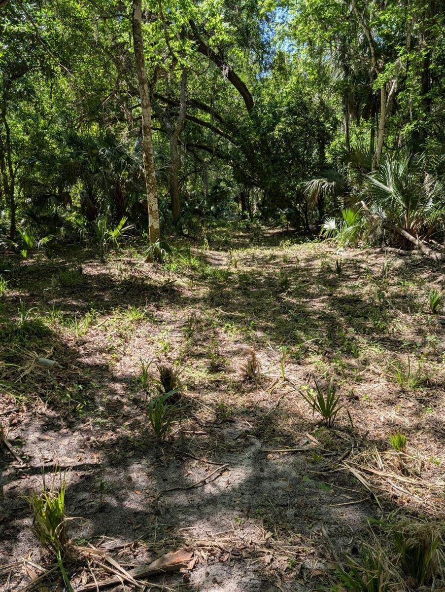 0 NW 202ND PL, MC INTOSH, FL, 32664