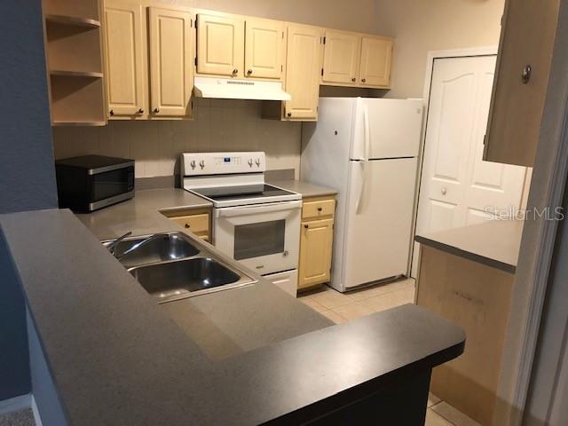 1175 LAKE SHADOW CIR #4207, MAITLAND, FL, 32751