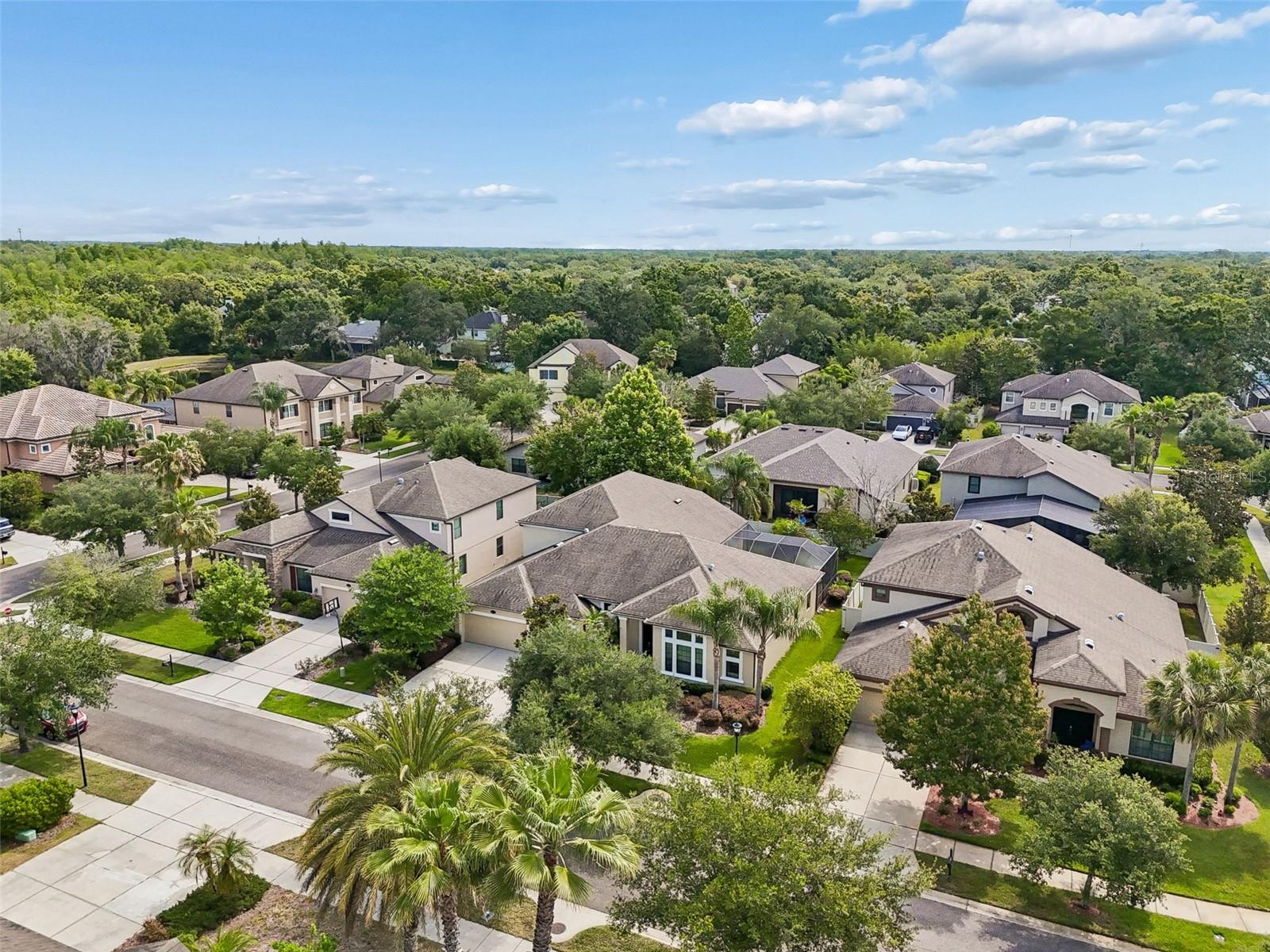 15604 HAMPTON, TAMPA, FL, 33618