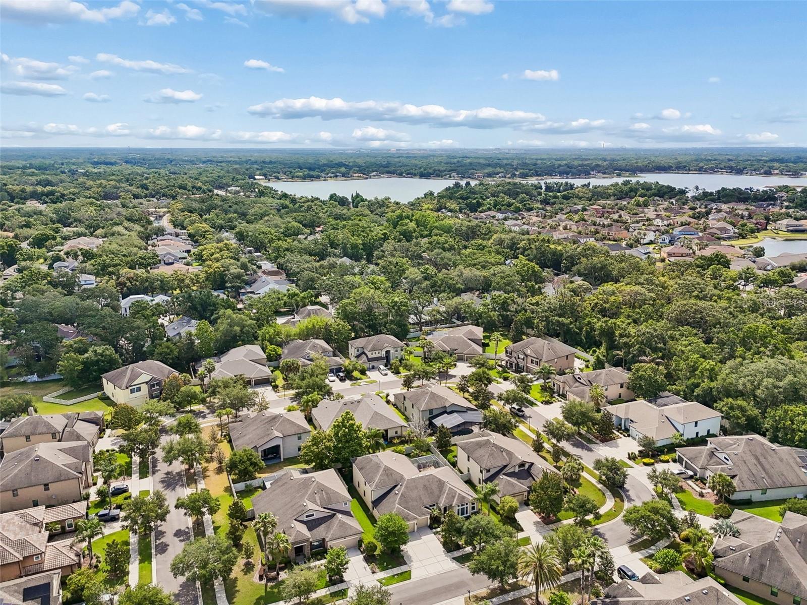 15604 HAMPTON, TAMPA, FL, 33618