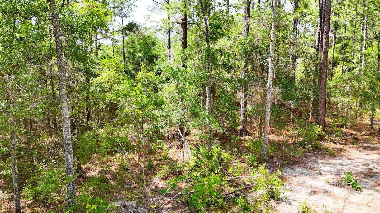 0 WINDHAVEN LN, BROOKSVILLE, FL, 34614