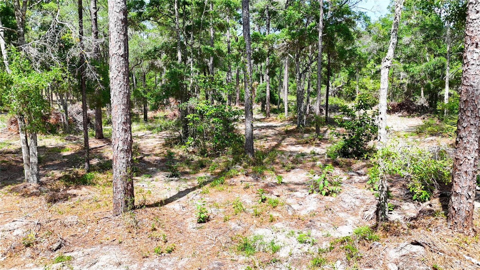 0 WINDHAVEN LN, BROOKSVILLE, FL, 34614