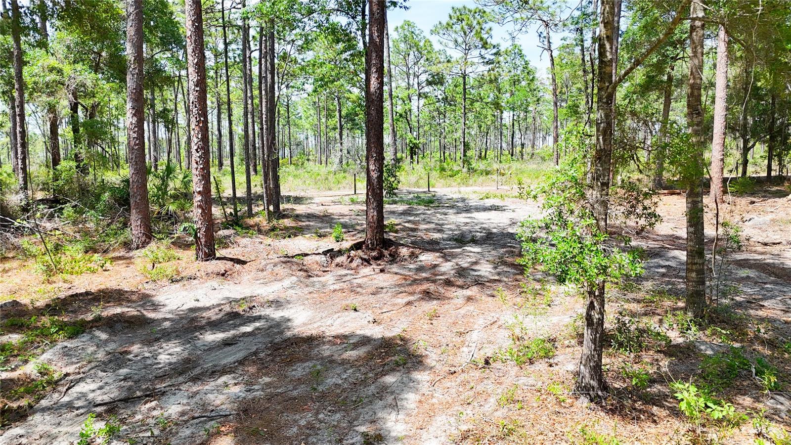 0 WINDHAVEN LN, BROOKSVILLE, FL, 34614