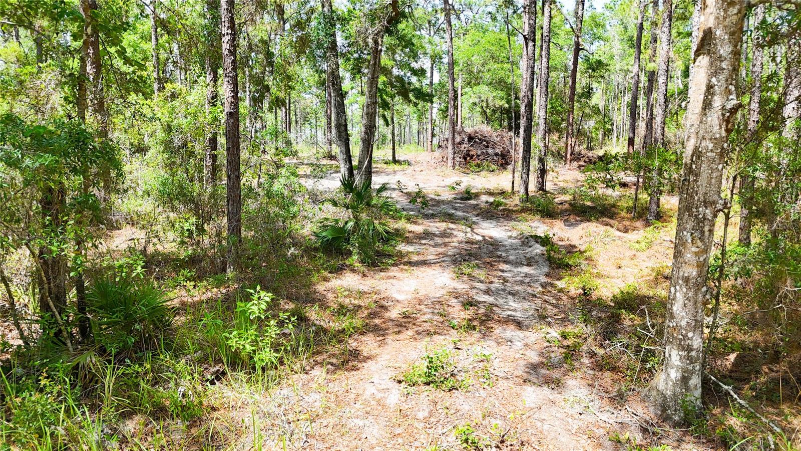 0 WINDHAVEN LN, BROOKSVILLE, FL, 34614