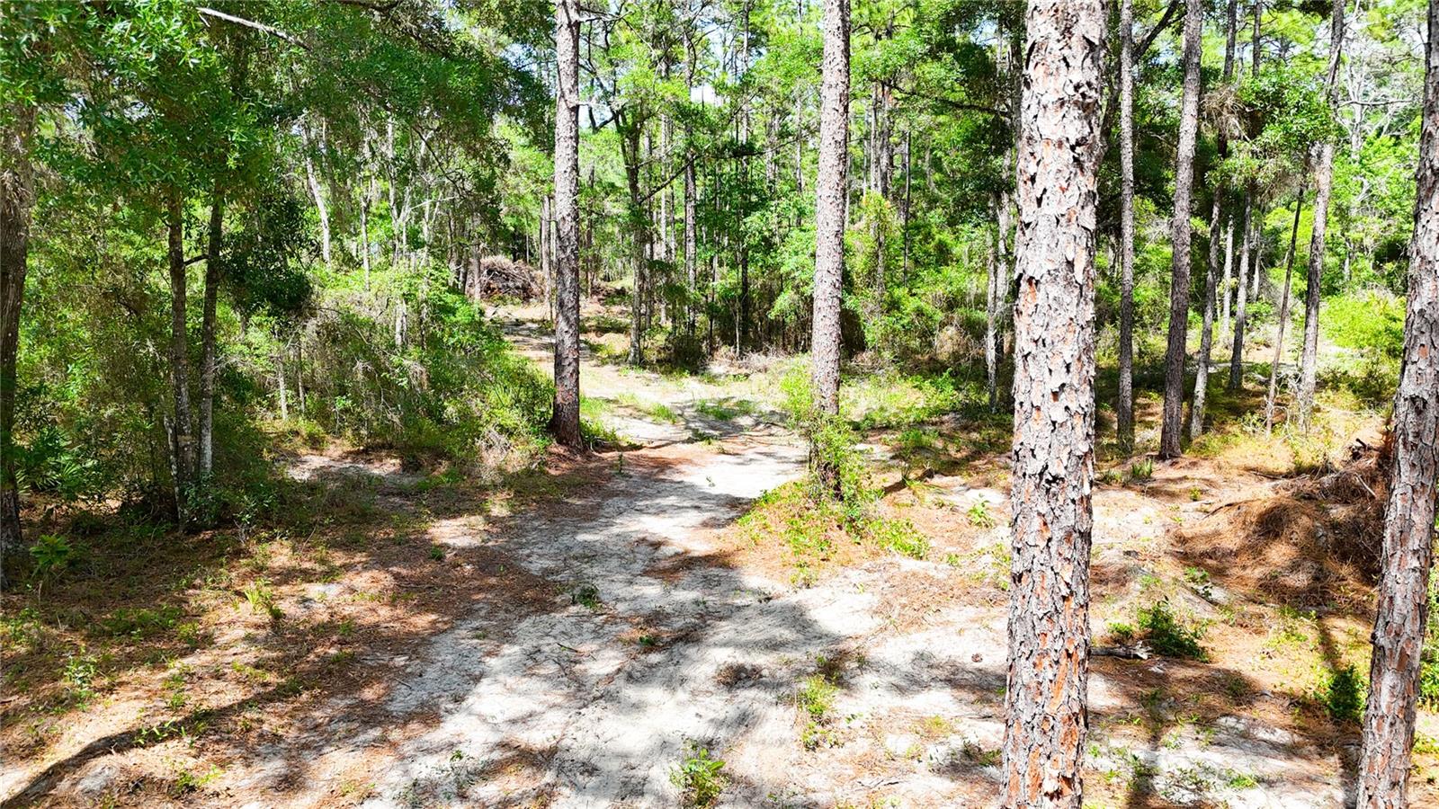 0 WINDHAVEN LN, BROOKSVILLE, FL, 34614