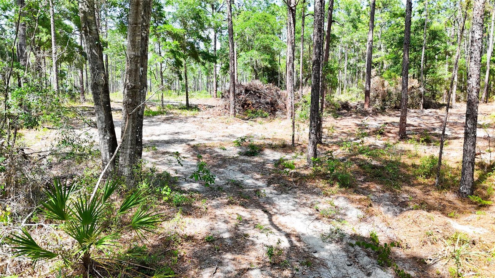 0 WINDHAVEN LN, BROOKSVILLE, FL, 34614