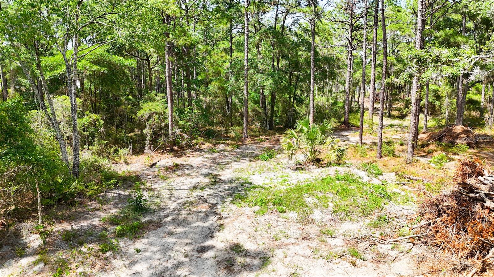 0 WINDHAVEN LN, BROOKSVILLE, FL, 34614