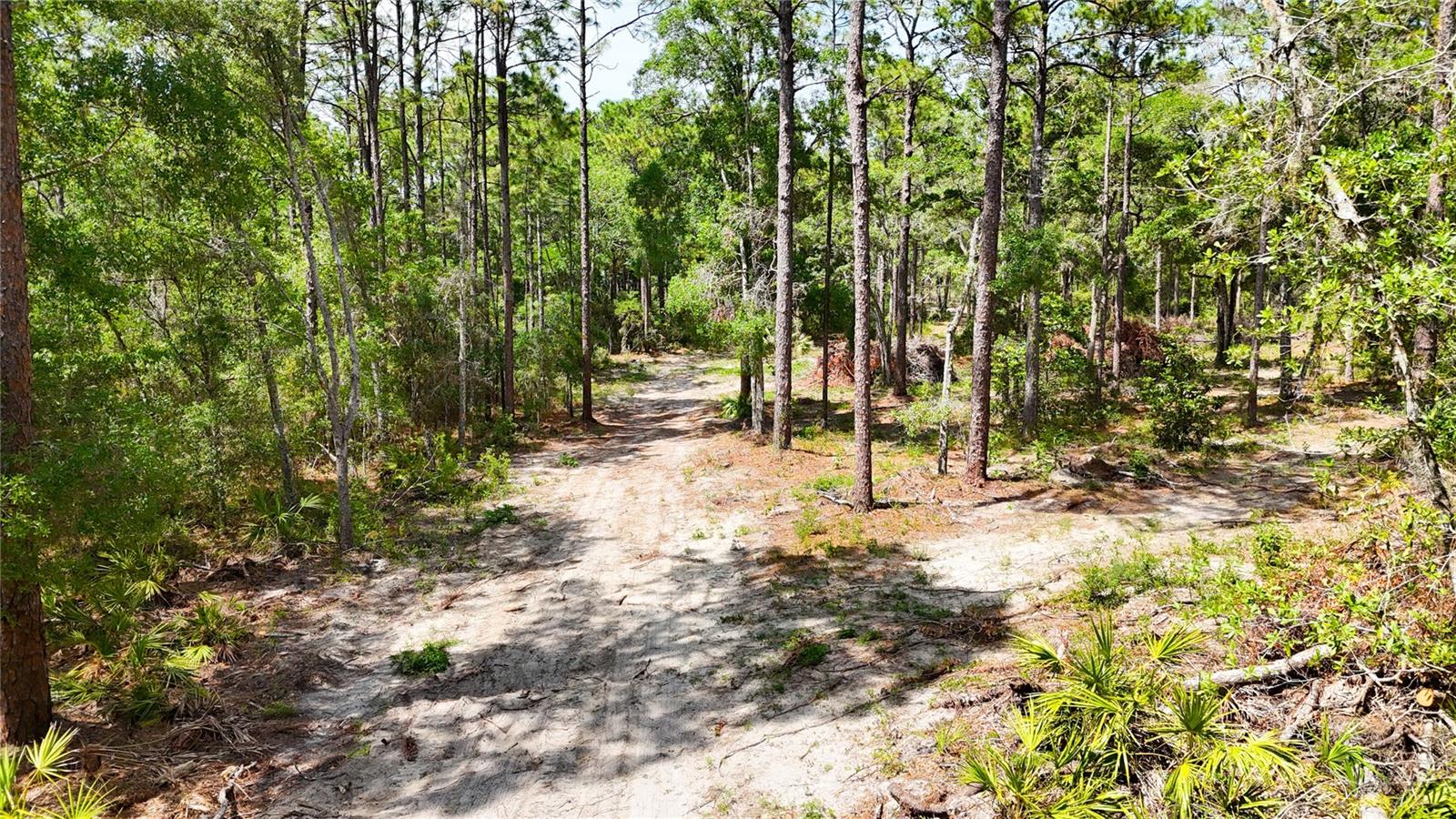 0 WINDHAVEN LN, BROOKSVILLE, FL, 34614
