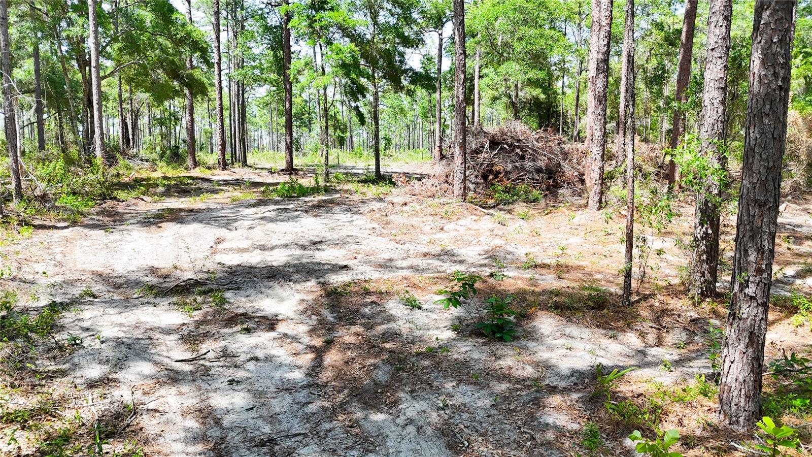 0 WINDHAVEN LN, BROOKSVILLE, FL, 34614