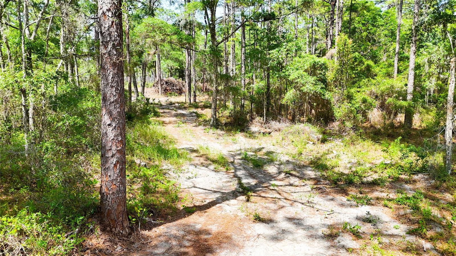 0 WINDHAVEN LN, BROOKSVILLE, FL, 34614