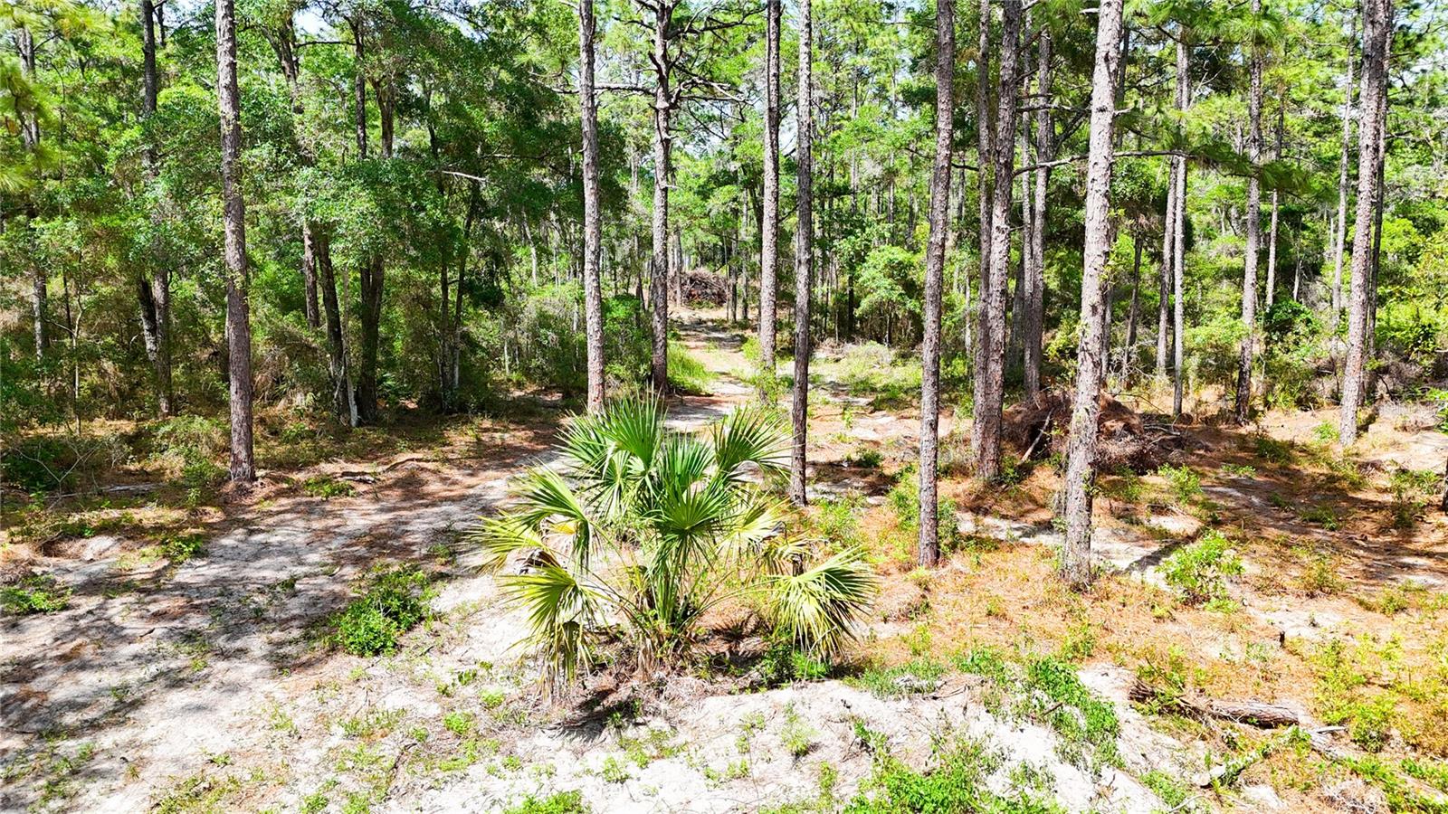 0 WINDHAVEN LN, BROOKSVILLE, FL, 34614
